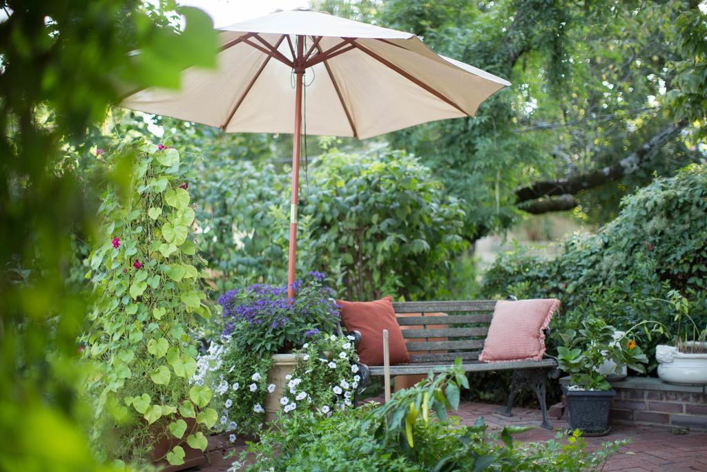10 Clarke Bed & Breakfast Frederick Ngoại thất bức ảnh